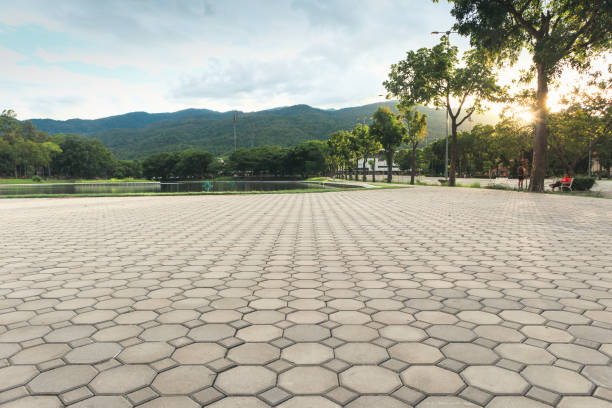 Best Residential Paver Driveway  in Clifton, IL
