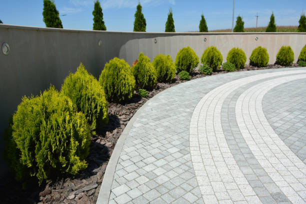 Best Local Driveway Pavers  in Clifton, IL