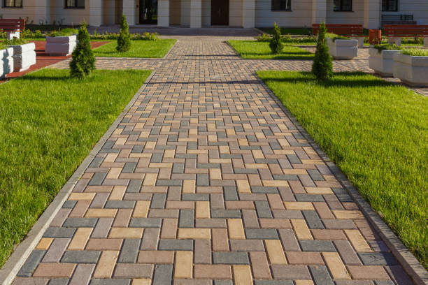Best Driveway Paving Contractor  in Clifton, IL